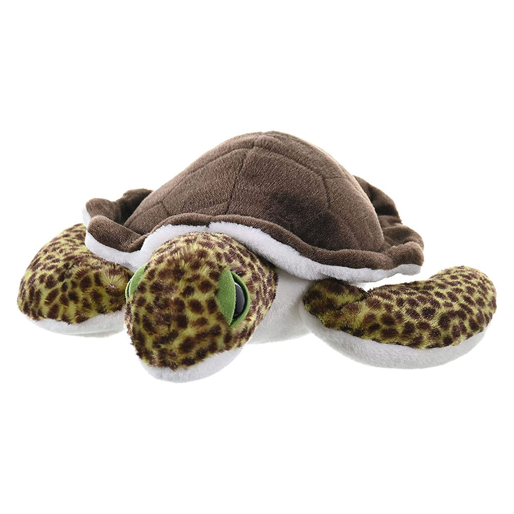 If I Were A Sea Turtle Board Book with Plush