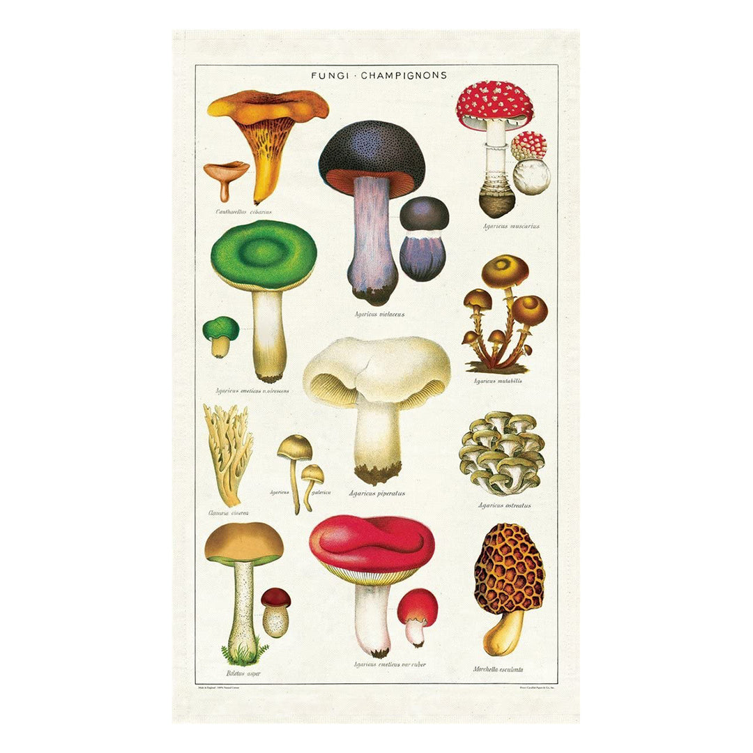 Mushroom Tea Towel Houseware Cavallini Papers & Co   