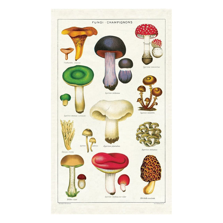 Mushroom Tea Towel Houseware Cavallini Papers & Co   