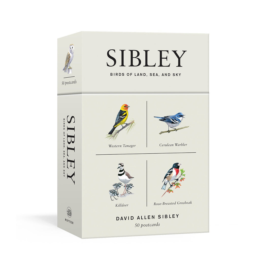 Sibley Birds of Land, Sea, and Sky: 50 Postcards
