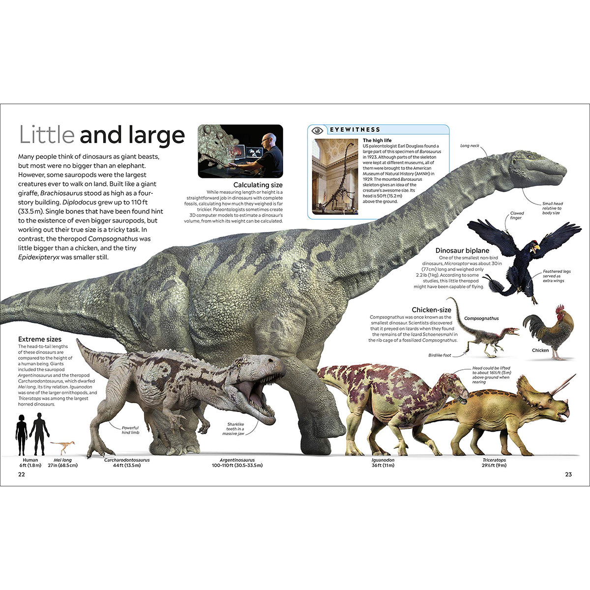 DK Eyewitness Books: Dinosaur | Field Museum Store