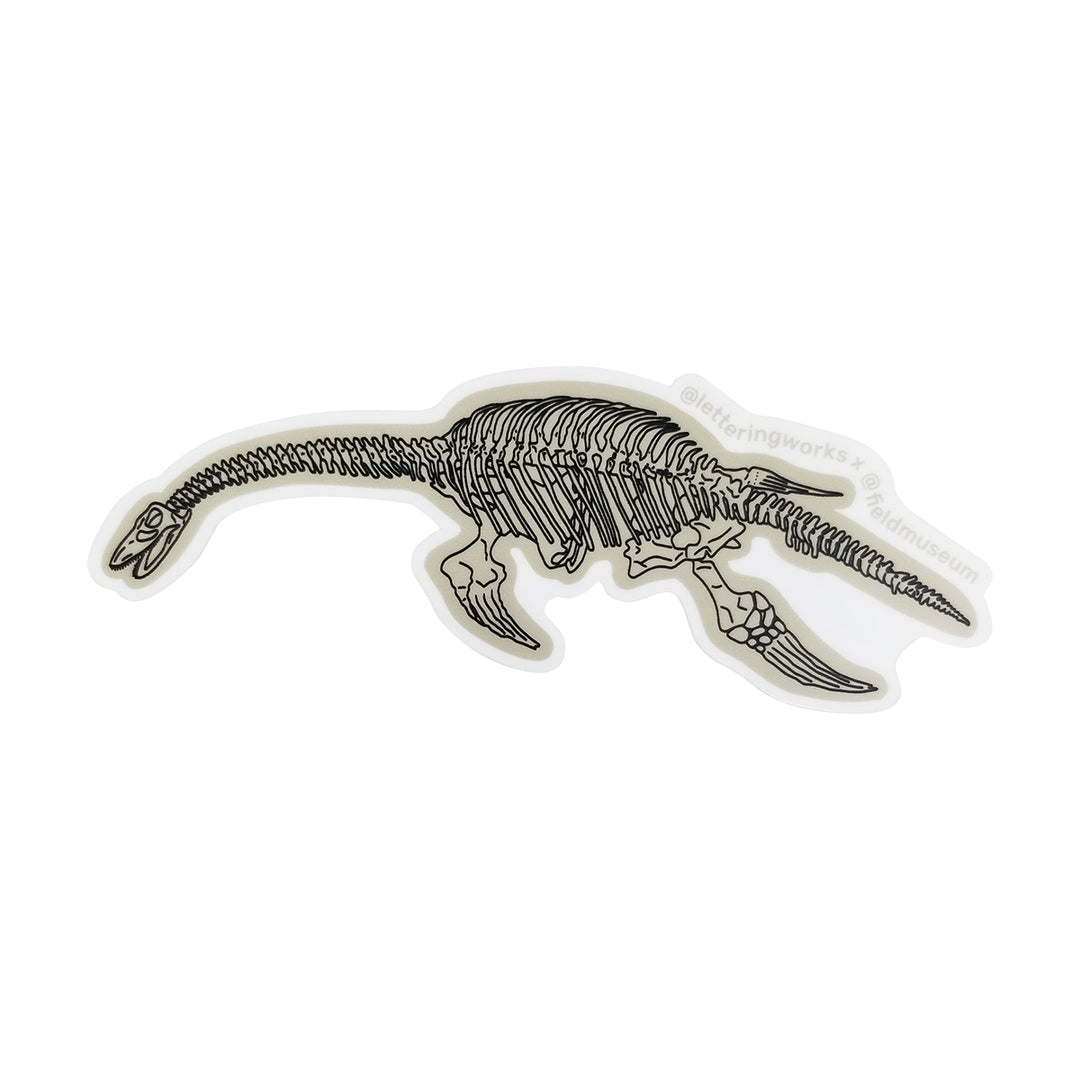 Plesiosaur Skeleton Sticker