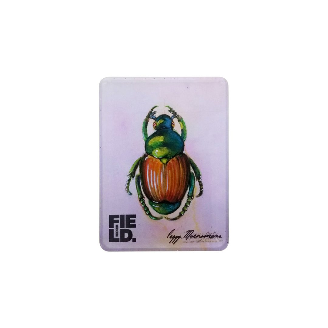 Peggy Macnamara Beetle Magnet