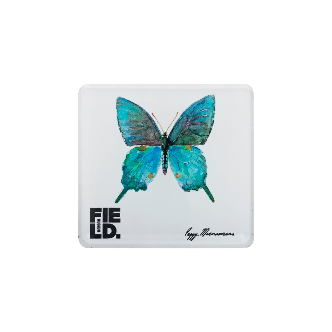 Peggy Macnamara Green Butterfly Magnet