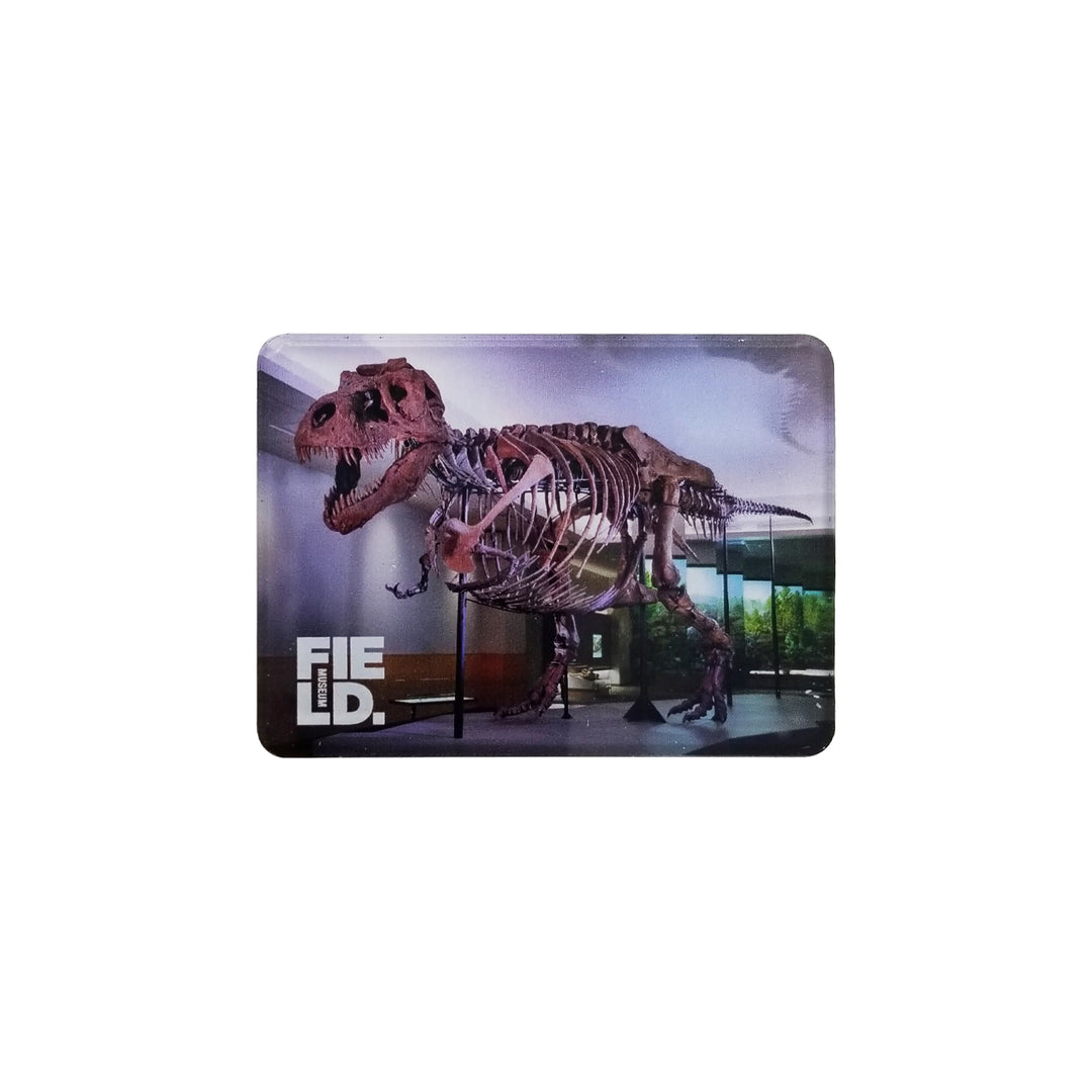 SUE the T. rex Skeleton Magnet