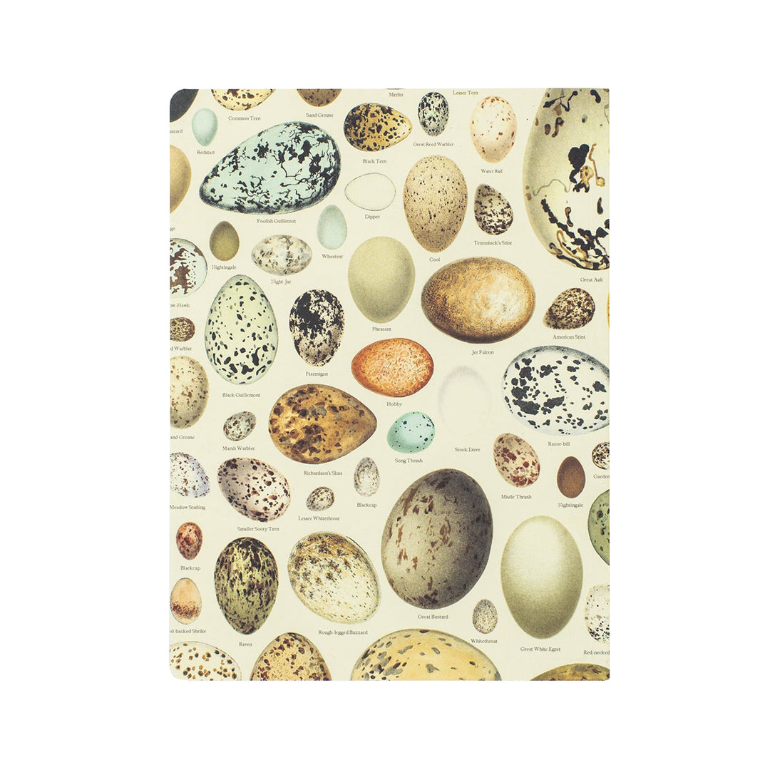 Eggs Softcover Notebook