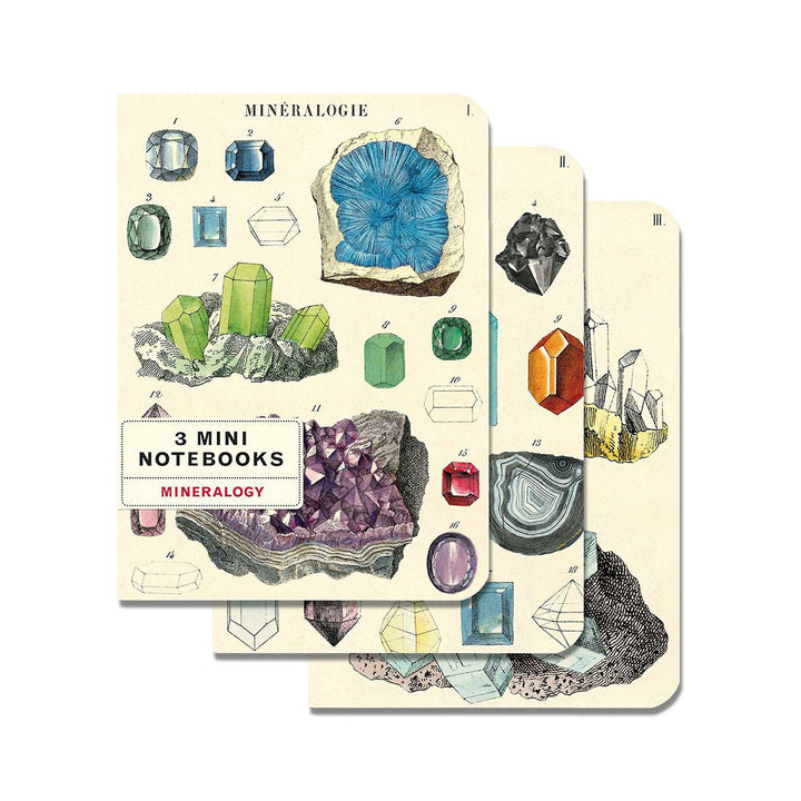 Mineralogy Mini Notebook Set Office Cavallini Papers & Co   