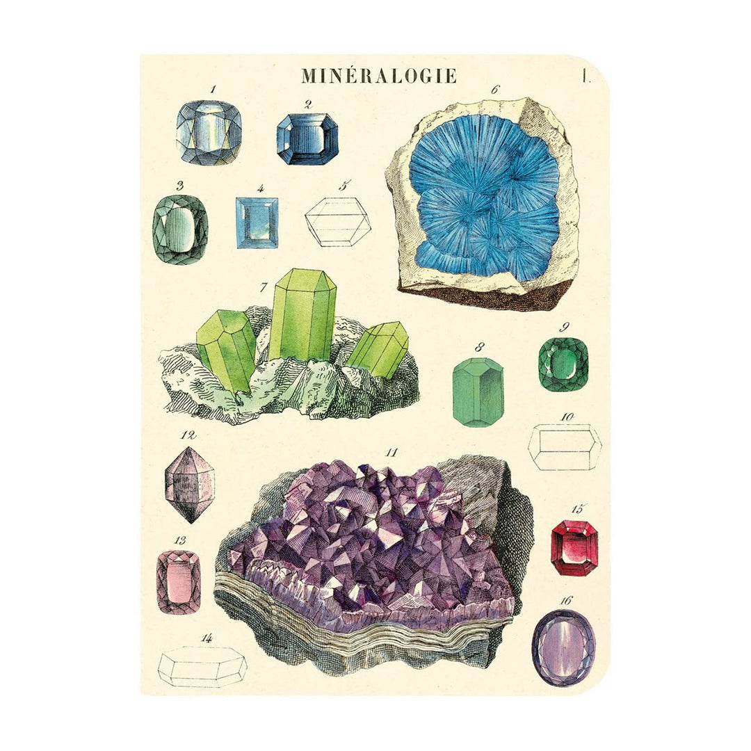 Mineralogy Mini Notebook Set Office Cavallini Papers & Co   