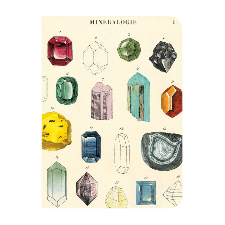 Mineralogy Mini Notebook Set Office Cavallini Papers & Co   