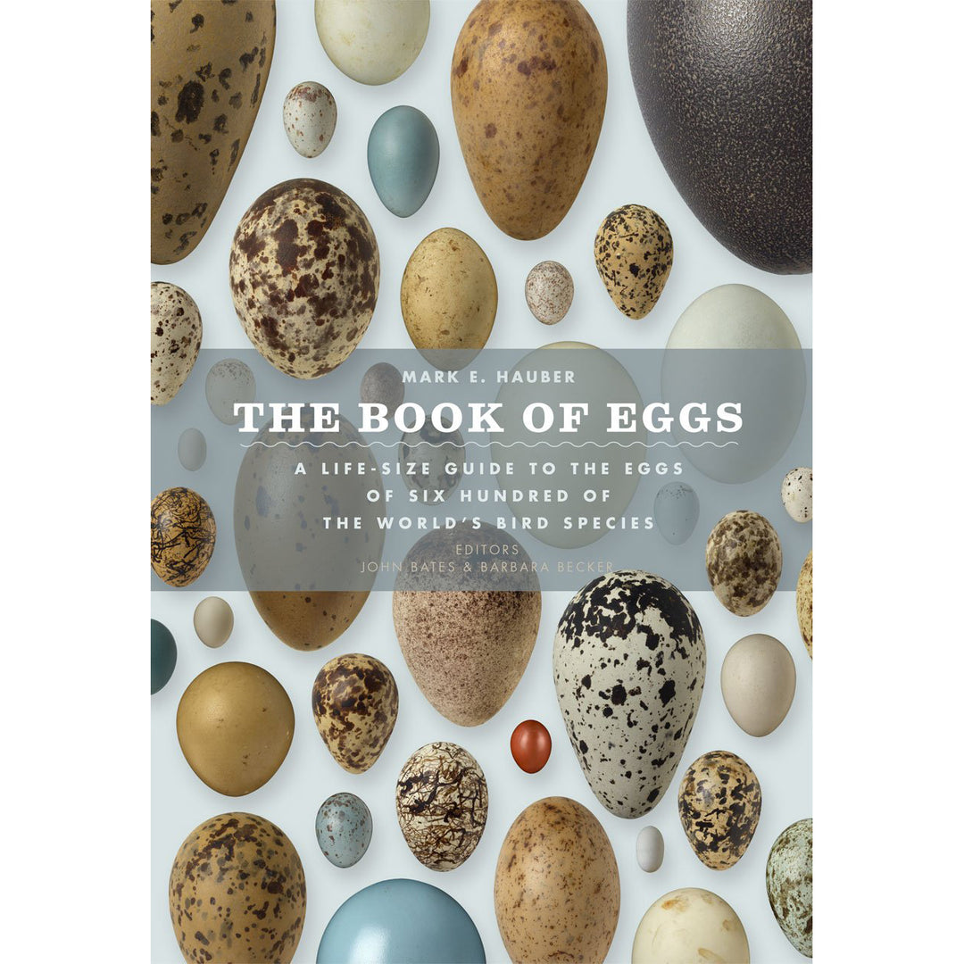 The Book of Eggs: A Life-Size Guide to the Eggs of Six Hundred of the World's Bird Species | Field Museum Store