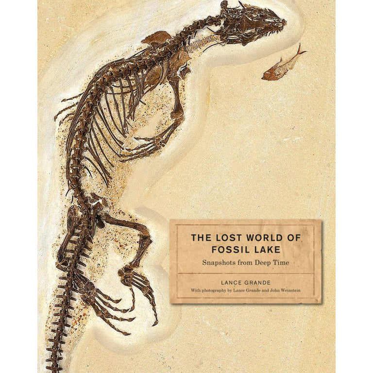 The Lost World of Fossil Lake: Snapshots from Deep Time | Field Museum Store