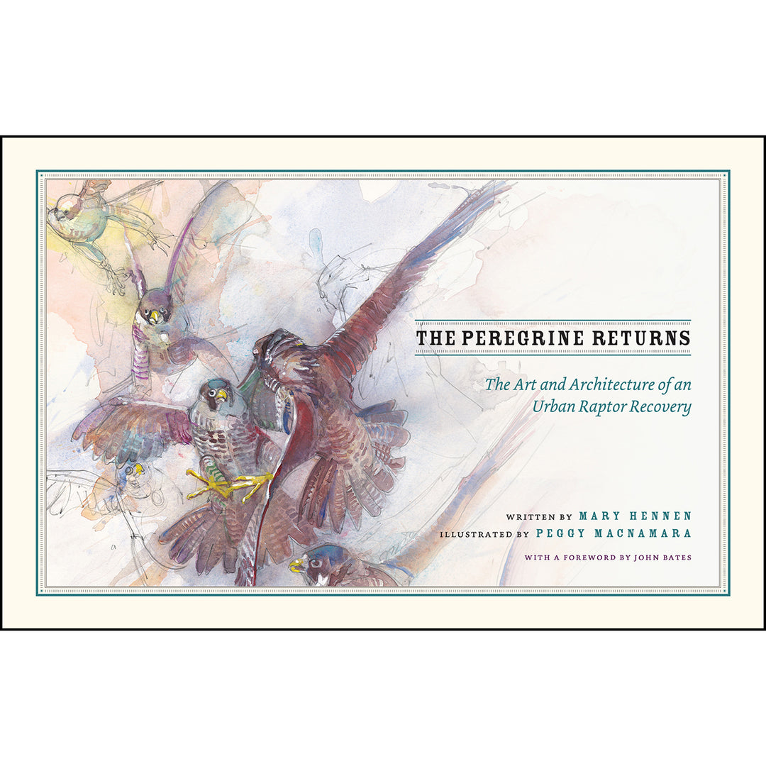 The Peregrine Returns: The Art and Architecture of an Urban Raptor Recovery | Field Museum Store