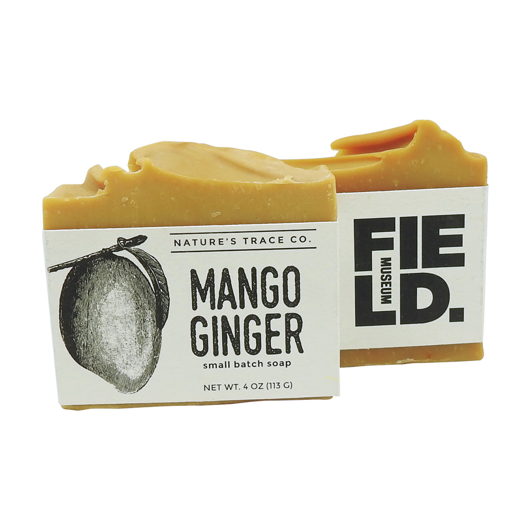Mango Ginger Bar Soap | Field Museum Store